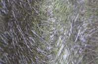 Havannah fibreglass roof work